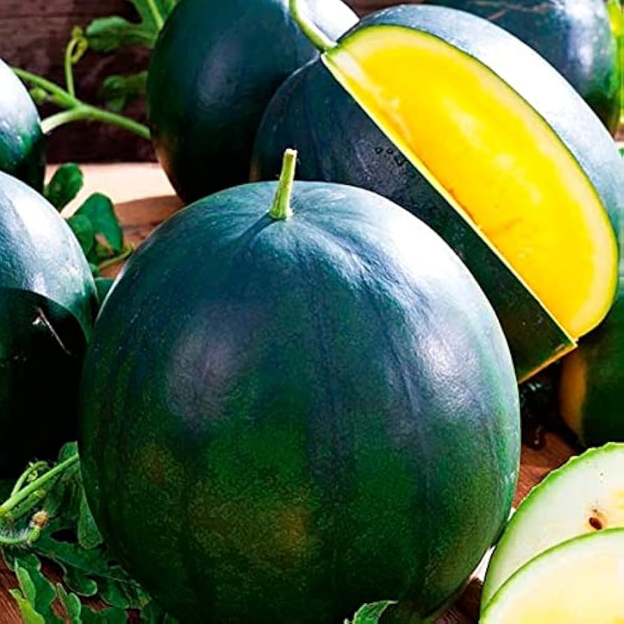 Flower Seeds, Seeds,Seeds For Planting,Plant Seeds