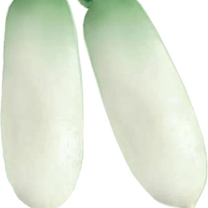 Vegetable Seeds,Garden seeds, Seeds For Planting,Plant Seeds