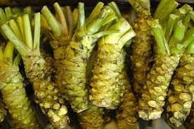 Vegetable Seeds,Garden seeds, Seeds For Planting,Plant Seeds