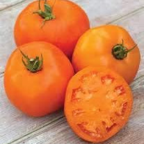 Vegetable Seeds,Garden seeds, Seeds For Planting,Plant Seeds