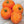 Vegetable Seeds,Garden seeds, Seeds For Planting,Plant Seeds