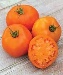 Vegetable Seeds,Garden seeds, Seeds For Planting,Plant Seeds