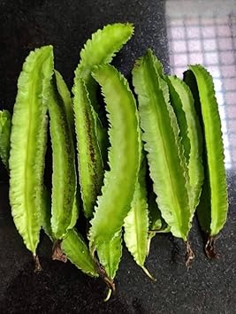 Vegetable Seeds,Garden seeds, Seeds For Planting,Plant Seeds