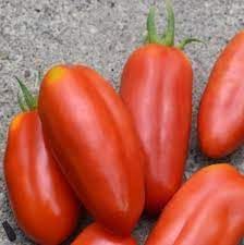 Vegetable Seeds,Garden seeds, Seeds For Planting,Plant Seeds