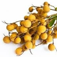 Fruit Seeds,Garden seeds, Seeds For Planting,Plant Seeds