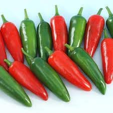 Vegetable Seeds,Garden seeds, Seeds For Planting,Plant Seeds