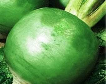 Vegetable Seeds,Garden seeds, Seeds For Planting,Plant Seeds