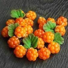 Fruit Seeds,Garden seeds, Seeds For Planting,Plant Seeds