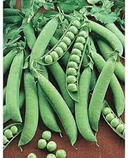 Vegetable Seeds,Garden seeds, Seeds For Planting,Plant Seeds