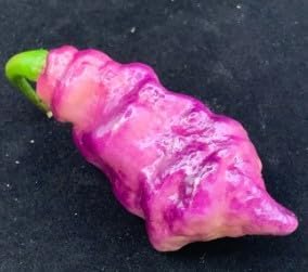 Vegetable Seeds,Garden seeds, Seeds For Planting,Plant Seeds
