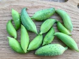 Vegetable Seeds,Garden seeds, Seeds For Planting,Plant Seeds