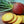 Vegetable Seeds,Garden seeds, Seeds For Planting,Plant Seeds