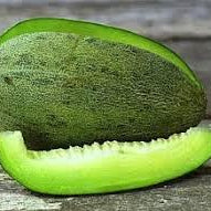 Fruit Seeds,Garden seeds, Seeds For Planting,Plant Seeds