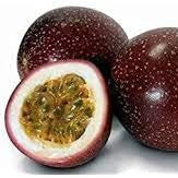 Fruit Seeds,Garden seeds, Seeds For Planting,Plant Seeds