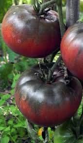 Vegetable Seeds,Garden seeds, Seeds For Planting,Plant Seeds