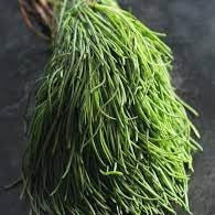 Vegetable Seeds,Garden seeds, Seeds For Planting,Plant Seeds