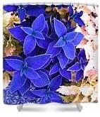 Flower Seeds, Seeds,Seeds For Planting,Plant Seeds