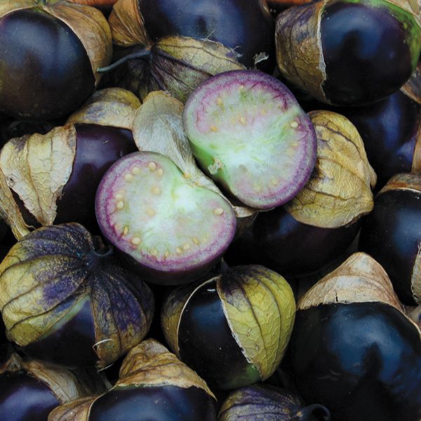 Purple Tomatillo Seeds – Heirloom Non-GMO Organic Tangy Mexican Vegetable Seeds for Planting