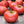 Vegetable Seeds,Garden seeds, Seeds For Planting,Plant Seeds