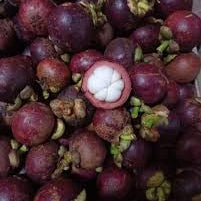 Fruit Seeds,Garden seeds, Seeds For Planting,Plant Seeds