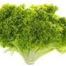 Vegetable Seeds,Garden seeds, Seeds For Planting,Plant Seeds