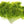 Vegetable Seeds,Garden seeds, Seeds For Planting,Plant Seeds