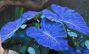 Flower Seeds, Seeds,Seeds For Planting,Plant Seeds