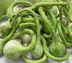 Vegetable Seeds,Garden seeds, Seeds For Planting,Plant Seeds