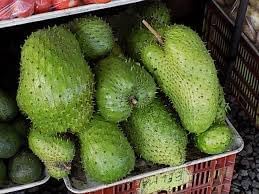 Fruit Seeds,Garden seeds, Seeds For Planting,Plant Seeds