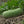 Vegetable Seeds,Garden seeds, Seeds For Planting,Plant Seeds