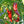Vegetable Seeds,Garden seeds, Seeds For Planting,Plant Seeds