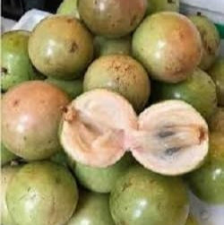 Fruit Seeds,Garden seeds, Seeds For Planting,Plant Seeds