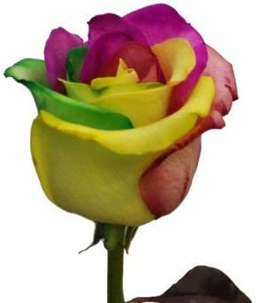 Flower Seeds, Seeds,Seeds For Planting,Plant Seeds