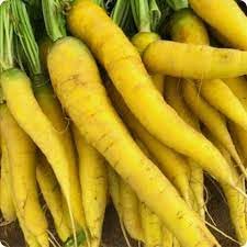Vegetable Seeds,Garden seeds, Seeds For Planting,Plant Seeds