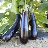 Vegetable Seeds,Garden seeds, Seeds For Planting,Plant Seeds