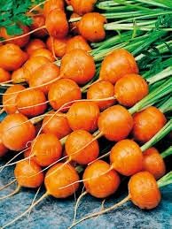 Vegetable Seeds,Garden seeds, Seeds For Planting,Plant Seeds