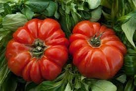 Vegetable Seeds,Garden seeds, Seeds For Planting,Plant Seeds