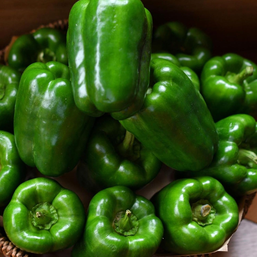 Vegetable Seeds,Garden seeds, Seeds For Planting,Plant Seeds