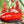 Vegetable Seeds,Garden seeds, Seeds For Planting,Plant Seeds
