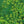 Vegetable Seeds,Garden seeds, Seeds For Planting,Plant Seeds