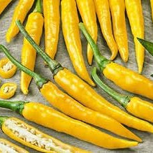 Vegetable Seeds,Garden seeds, Seeds For Planting,Plant Seeds