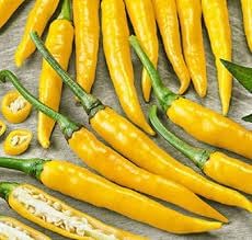 Vegetable Seeds,Garden seeds, Seeds For Planting,Plant Seeds