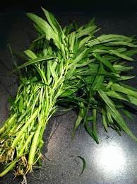 Vegetable Seeds,Garden seeds, Seeds For Planting,Plant Seeds