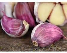 Vegetable Seeds,Garden seeds, Seeds For Planting,Plant Seeds