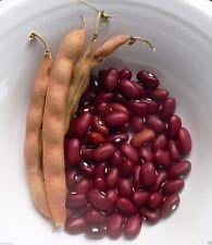 Vegetable Seeds,Garden seeds, Seeds For Planting,Plant Seeds