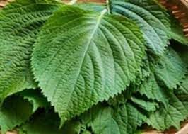 Vegetable Seeds,Garden seeds, Seeds For Planting,Plant Seeds