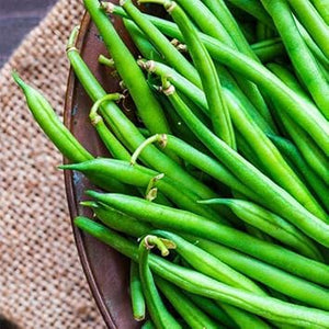 Vegetable Seeds,Garden seeds, Seeds For Planting,Plant Seeds