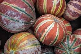 Vegetable Seeds,Garden seeds, Seeds For Planting,Plant Seeds