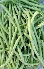 Vegetable Seeds,Garden seeds, Seeds For Planting,Plant Seeds