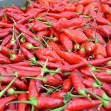 Vegetable Seeds,Garden seeds, Seeds For Planting,Plant Seeds